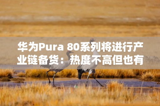 华为Pura 80系列将进行产业链备货：热度不高但也有新意