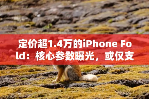 定价超1.4万的iPhone Fold：核心参数曝光，或仅支持eSIM