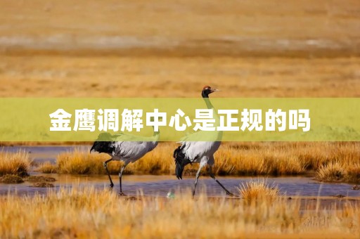 金鹰调解中心是正规的吗