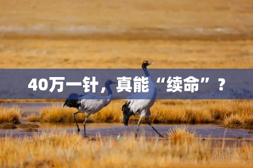 40万一针,真能“续命”?