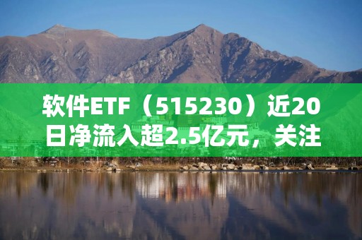 软件ETF（515230）近20日净流入超2.5亿元，关注端侧AI产业进展