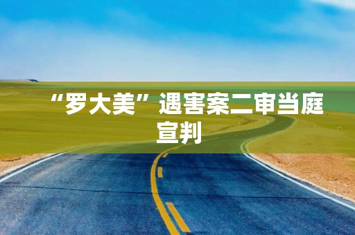 “罗大美”遇害案二审当庭宣判