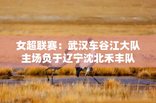 女超联赛：武汉车谷江大队主场负于辽宁沈北禾丰队