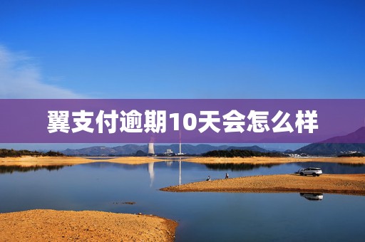 翼支付逾期10天会怎么样
