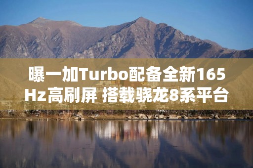 曝一加Turbo配备全新165Hz高刷屏 搭载骁龙8系平台