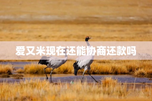 爱又米现在还能协商还款吗