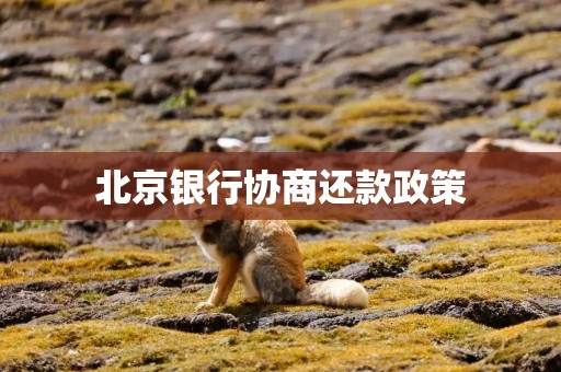 北京银行协商还款政策