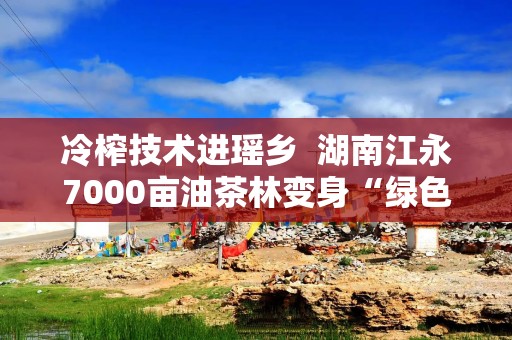 冷榨技术进瑶乡  湖南江永7000亩油茶林变身“绿色银行”