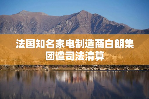 法国知名家电制造商白朗集团遭司法清算