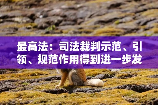 最高法：司法裁判示范、引领、规范作用得到进一步发挥