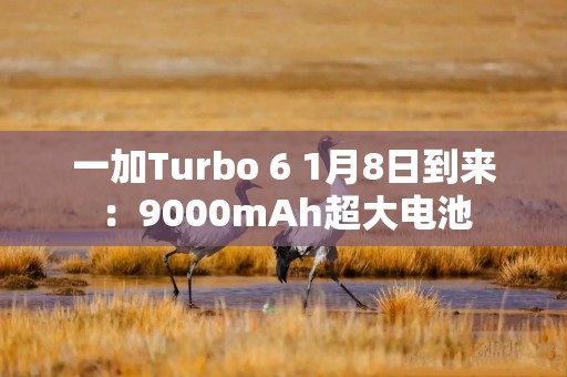 一加Turbo 6 1月8日到来：9000mAh超大电池