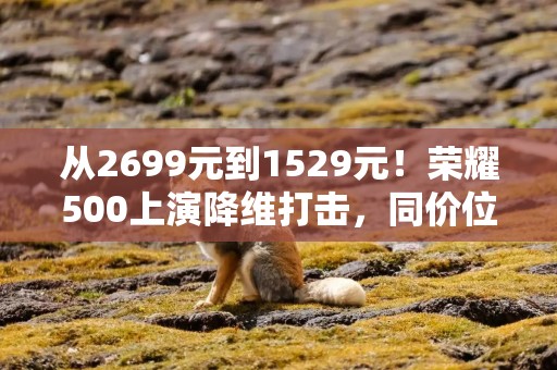 从2699元到1529元！荣耀500上演降维打击，同价位还有对手吗？