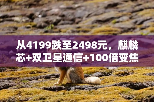 从4199跌至2498元，麒麟芯+双卫星通信+100倍变焦，“闭眼买”也不吃亏