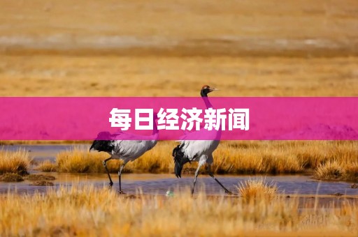 每日经济新闻