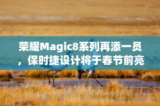 荣耀Magic8系列再添一员，保时捷设计将于春节前亮相