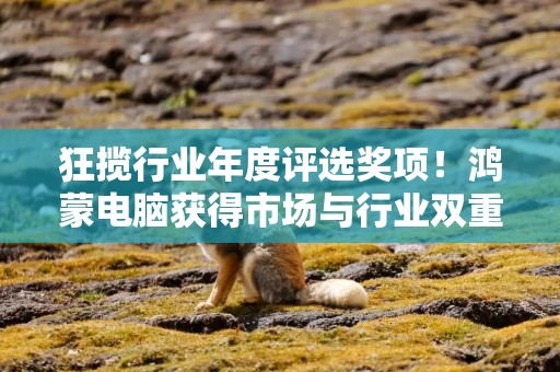 狂揽行业年度评选奖项！鸿蒙电脑获得市场与行业双重认可