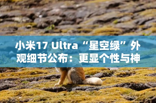 小米17 Ultra“星空绿”外观细节公布：更显个性与神秘感