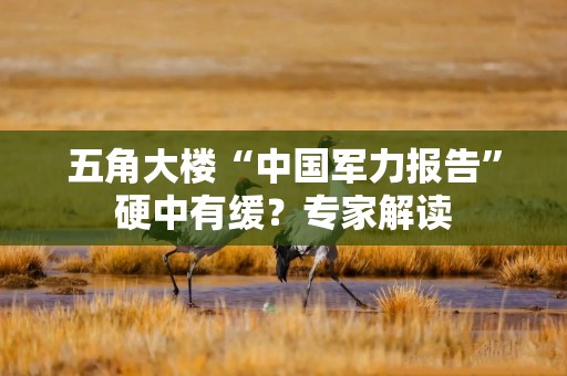 五角大楼“中国军力报告”硬中有缓？专家解读