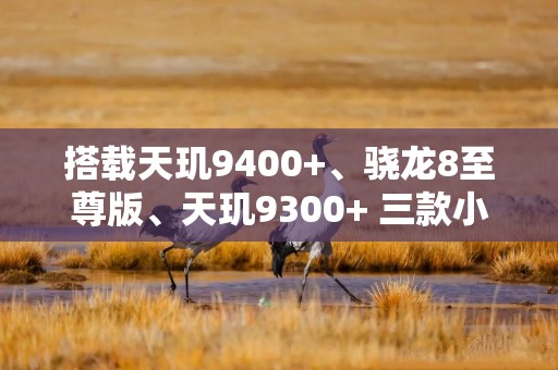 搭载天玑9400+、骁龙8至尊版、天玑9300+ 三款小屏旗舰4月开始上新