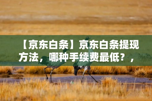 【京东白条】京东白条提现方法，哪种手续费最低？，京东白条还款协商电话