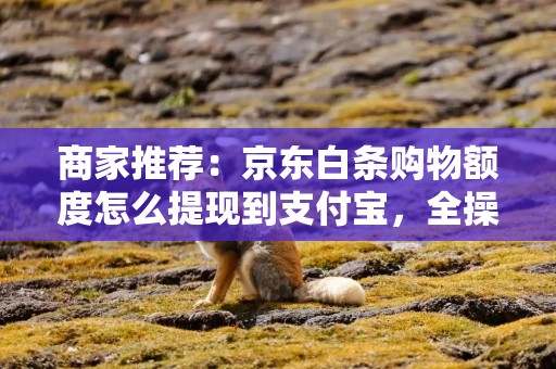 商家推荐：京东白条购物额度怎么提现到支付宝，全操作流程，京东白条怎么把额度提现