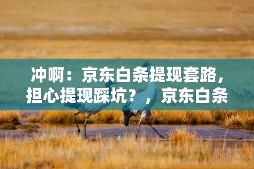 冲啊：京东白条提现套路，担心提现踩坑？，京东白条提现是什么意思