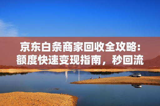 京东白条商家回收全攻略:额度快速变现指南，秒回流程清晰拆解
