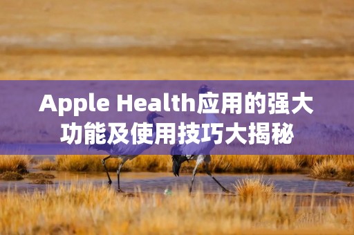 Apple Health应用的强大功能及使用技巧大揭秘
