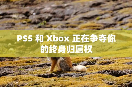 PS5 和 Xbox 正在争夺你的终身归属权