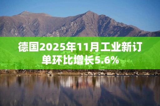 德国2025年11月工业新订单环比增长5.6%