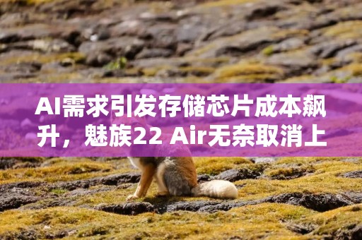 AI需求引发存储芯片成本飙升，魅族22 Air无奈取消上市