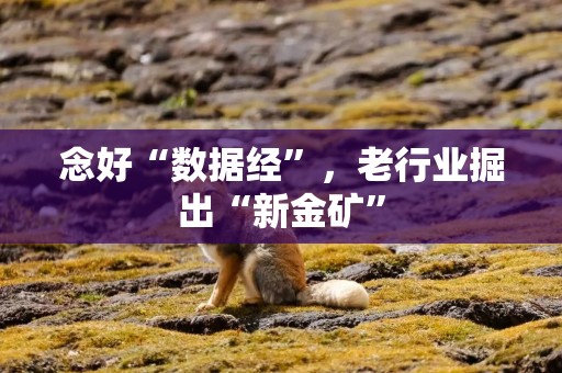 念好“数据经”，老行业掘出“新金矿”