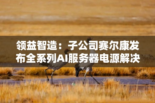 领益智造：子公司赛尔康发布全系列AI服务器电源解决方案 3