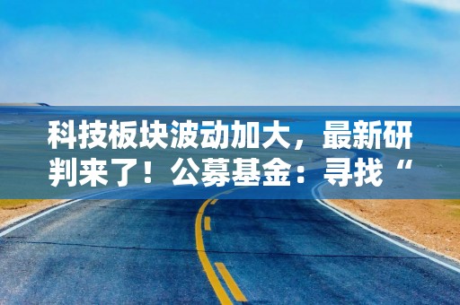 科技板块波动加大，最新研判来了！公募基金：寻找“二次点火”型资产 3