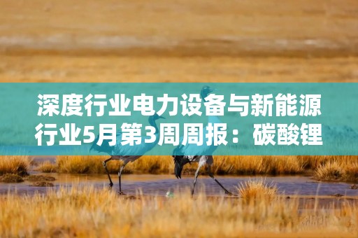深度行业电力设备与新能源行业5月第3周周报：碳酸锂多空博弈延续 价格高位震荡 2