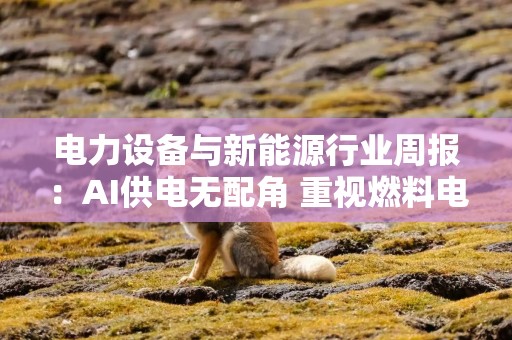 电力设备与新能源行业周报：AI供电无配角 重视燃料电池与配储 关注SNEC潜在新技术催化