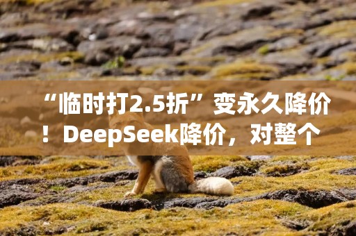 “临时打2.5折”变永久降价！DeepSeek降价，对整个行业有何影响？