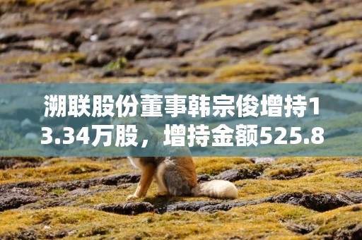 溯联股份董事韩宗俊增持13.34万股，增持金额525.86万元