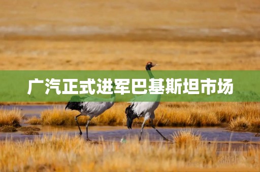 广汽正式进军巴基斯坦市场
