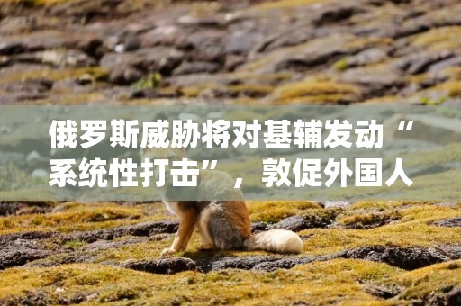 俄罗斯威胁将对基辅发动“系统性打击”，敦促外国人撤离