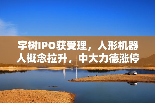 宇树IPO获受理，人形机器人概念拉升，中大力德涨停