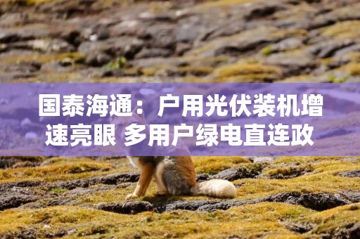 国泰海通：户用光伏装机增速亮眼 多用户绿电直连政策落地
