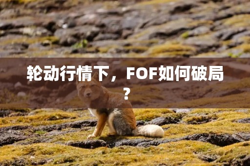 轮动行情下，FOF如何破局？