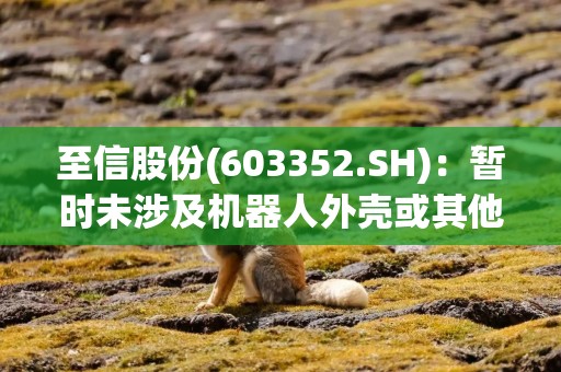 至信股份(603352.SH)：暂时未涉及机器人外壳或其他机器人零部件的生产业务