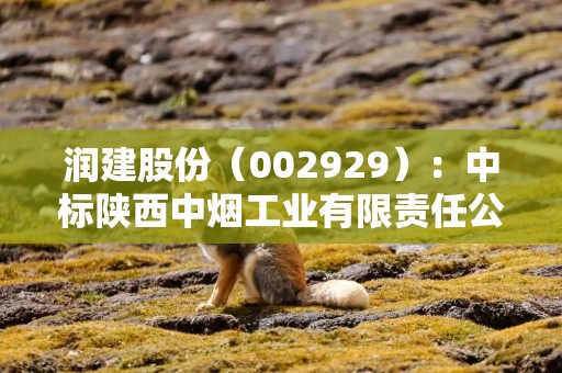润建股份(002929):中标陕西中烟工业有限责任公司采购项目,中标金额为446.79万元