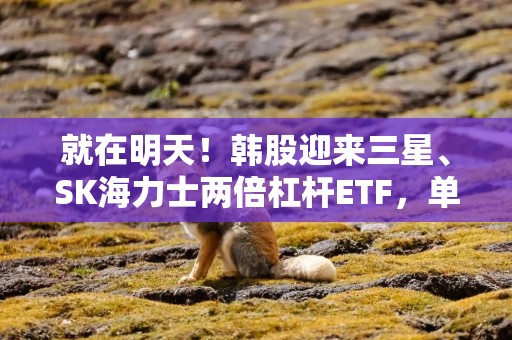 就在明天！韩股迎来三星、SK海力士两倍杠杆ETF，单日涨跌幅可达60%