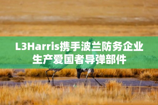 L3Harris携手波兰防务企业生产爱国者导弹部件