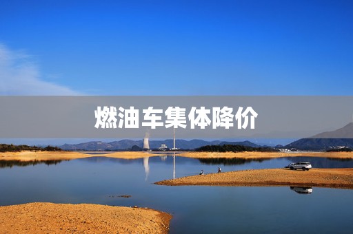 燃油车集体降价