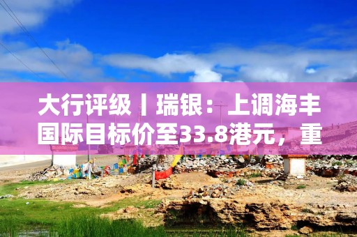 大行评级丨瑞银：上调海丰国际目标价至33.8港元，重申“中性”评级