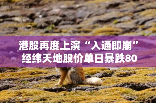 港股再度上演“入通即崩” 经纬天地股价单日暴跌80% 167亿市值一夜蒸发 AI故事也接不住估值泡沫